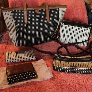 SALE Fossil collection.